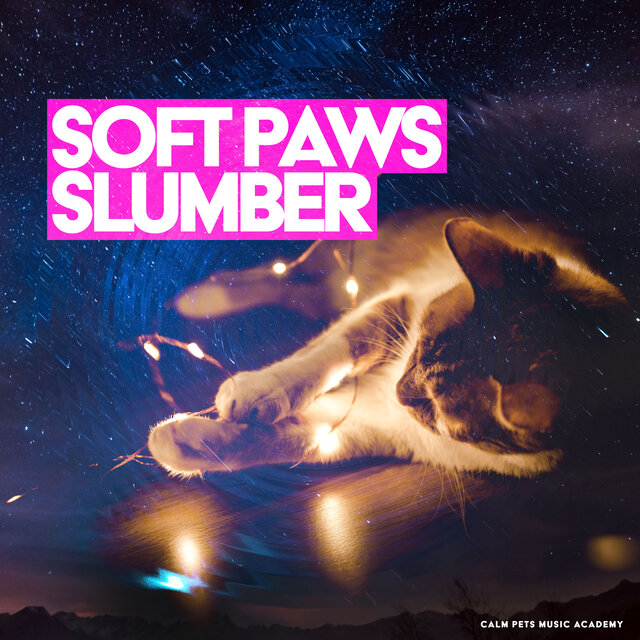 Soft Paws Slumber