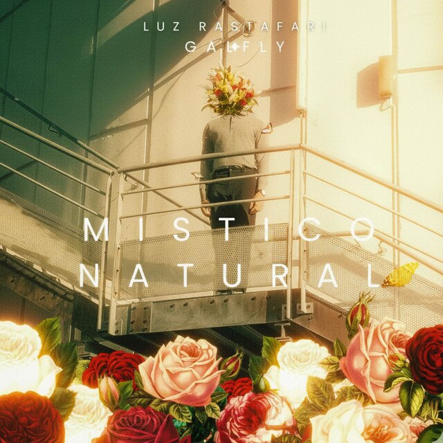 MISTICO NATURAL