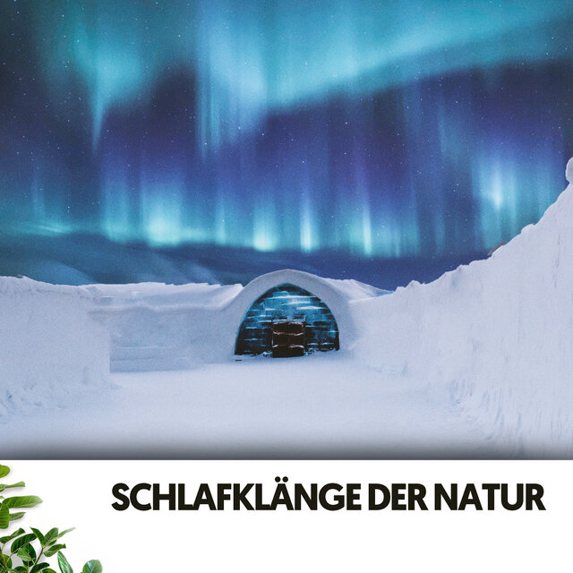 Schlafklänge der Natur: Arktische Einsamkeit