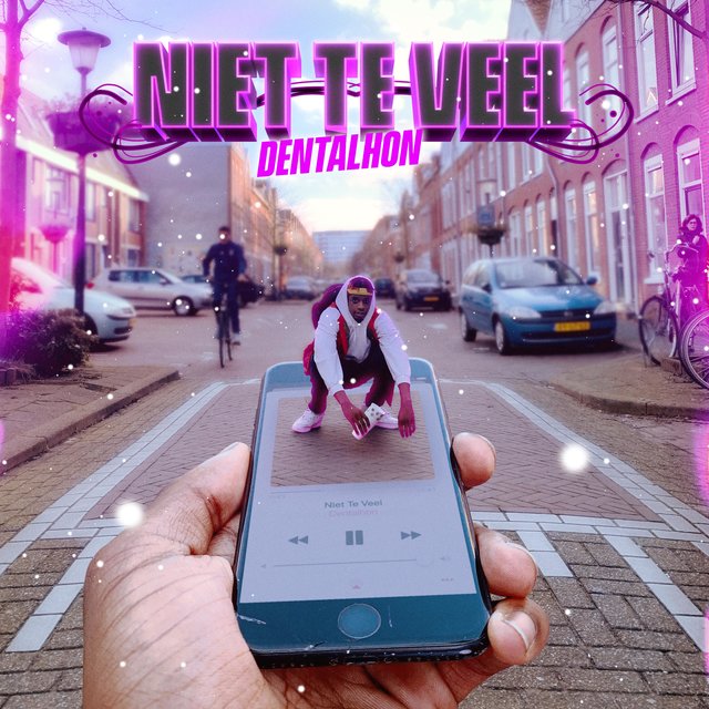 Niet Te Veel