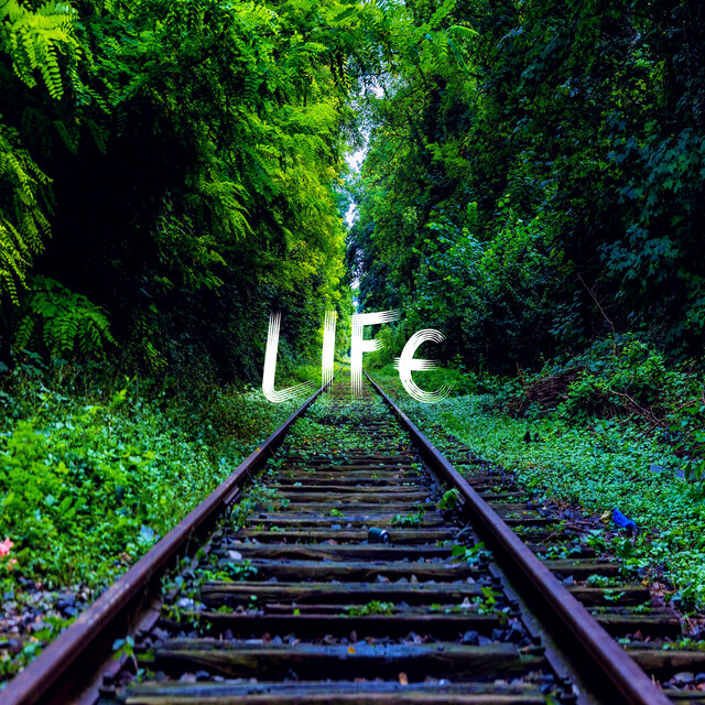 Life