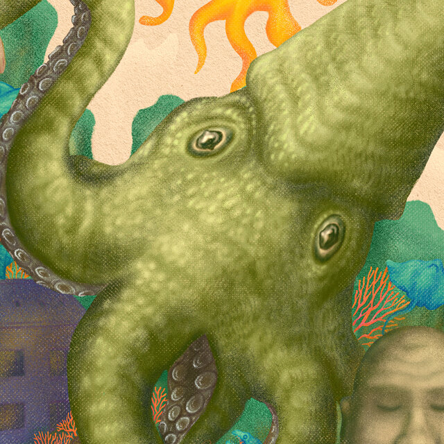 Cover art for album  by Nuva