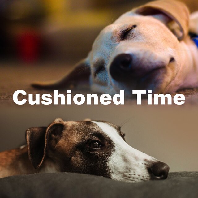 Cushioned Time