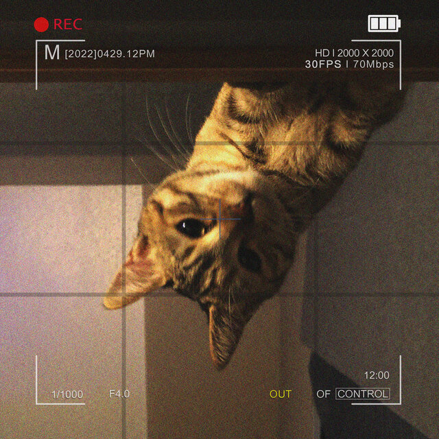 Out Of Control Vol.1