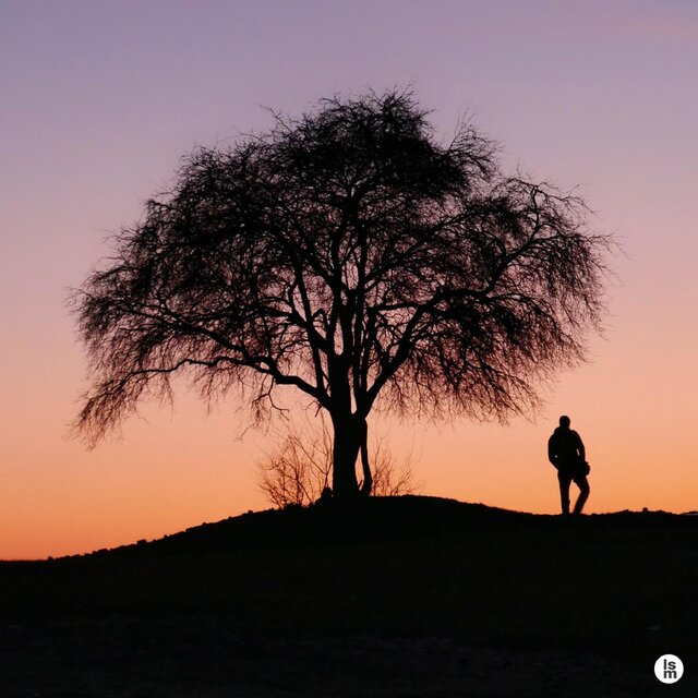 Tree to lean against when you have a hard time [leaning on the big tree]