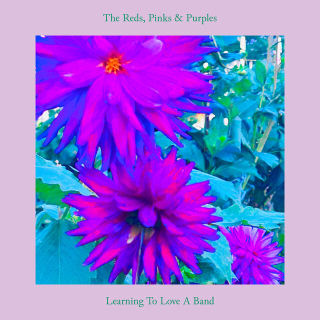 Learning To Love A Band