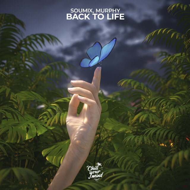 Back To Life