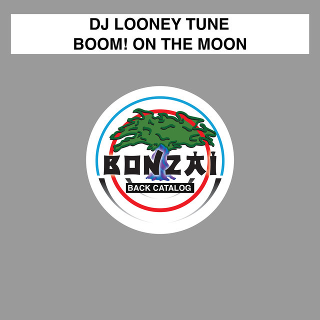 Boom! On The Moon