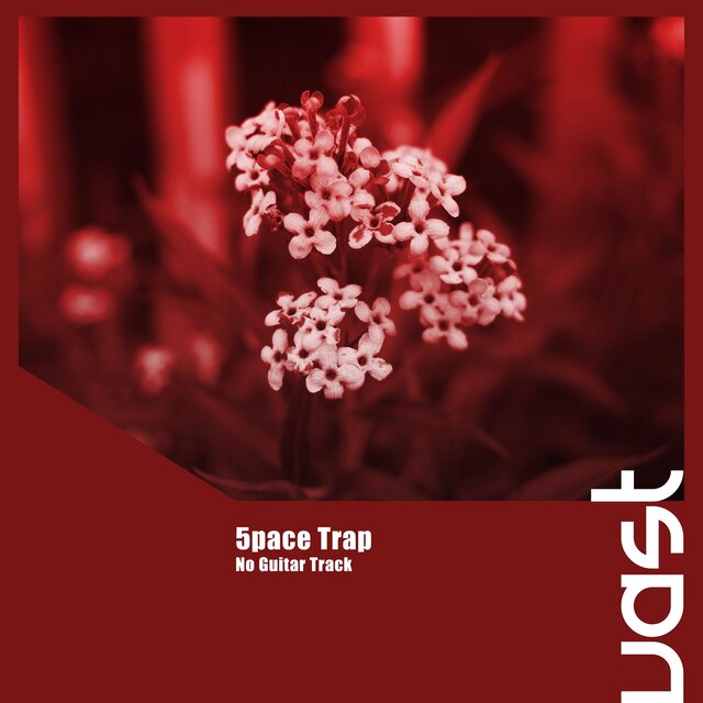 No Guitar Track