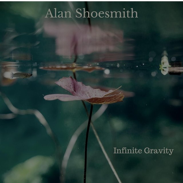 Infinite Gravity