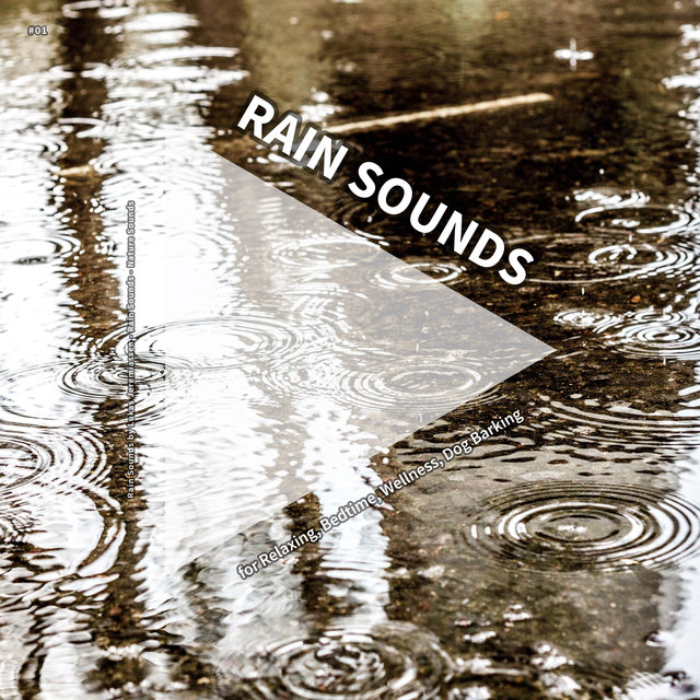 #01 Rain Sounds for Relaxing, Bedtime, Wellness, Dog Barking
