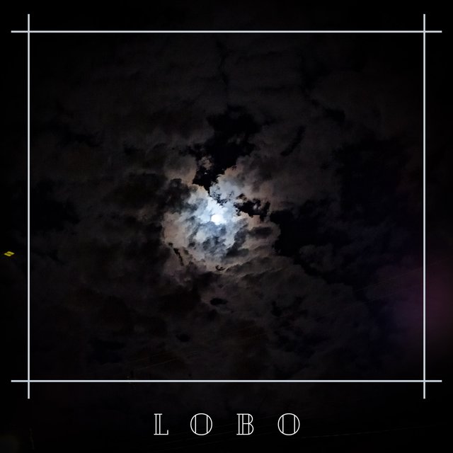 Lobo