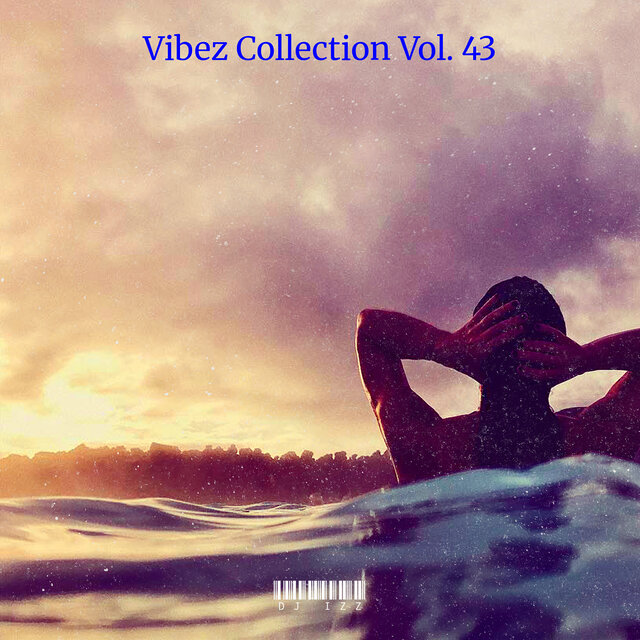 Vibez Collection, Vol. 43