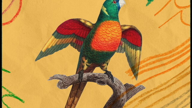 Danza Carioca