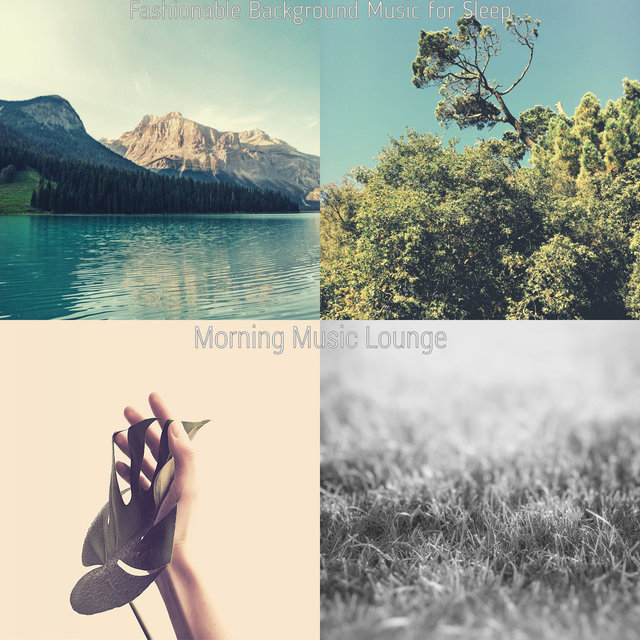 Fashionable Background Music for Sleep