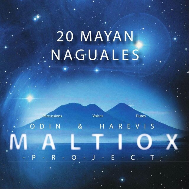 Maltiox Project (20 Mayan Naguales)