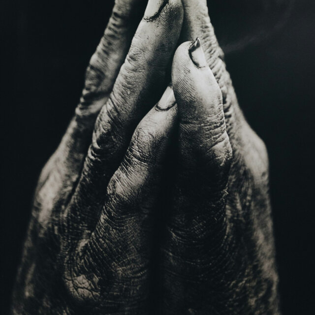 Beg for forgiveness