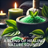 Discover Peace in Every Breath