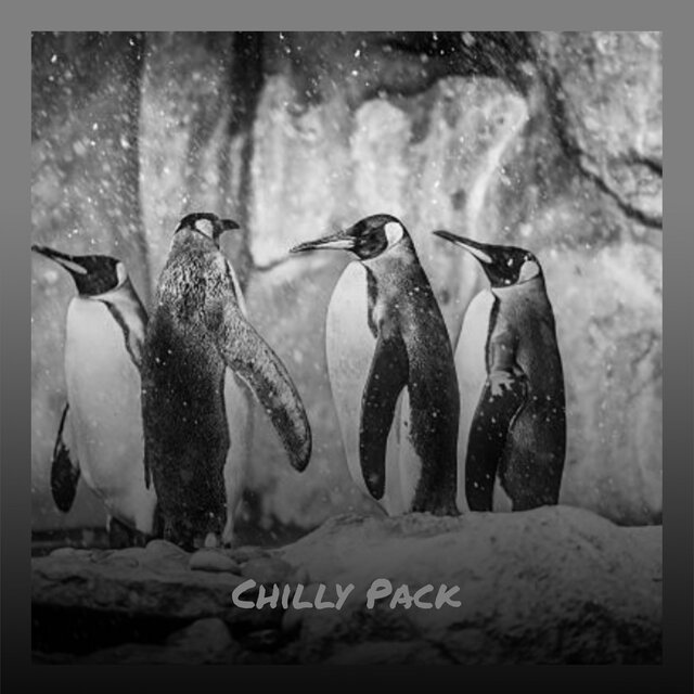 Chilly Pack