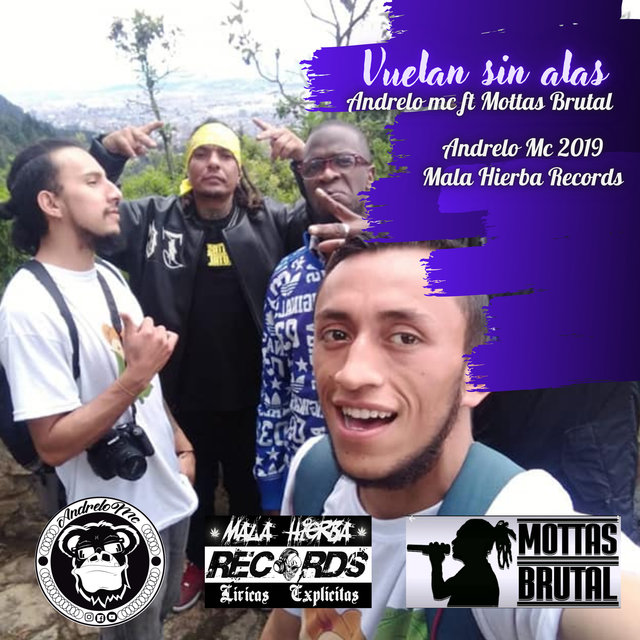 Vuelan Sin Alas