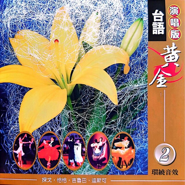 黄金珍藏舞曲 Vol.2
