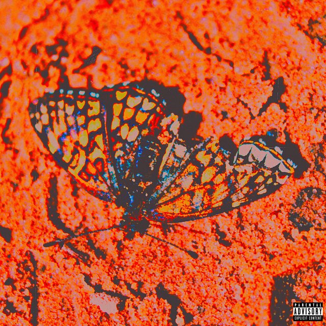 Butterfly Effect