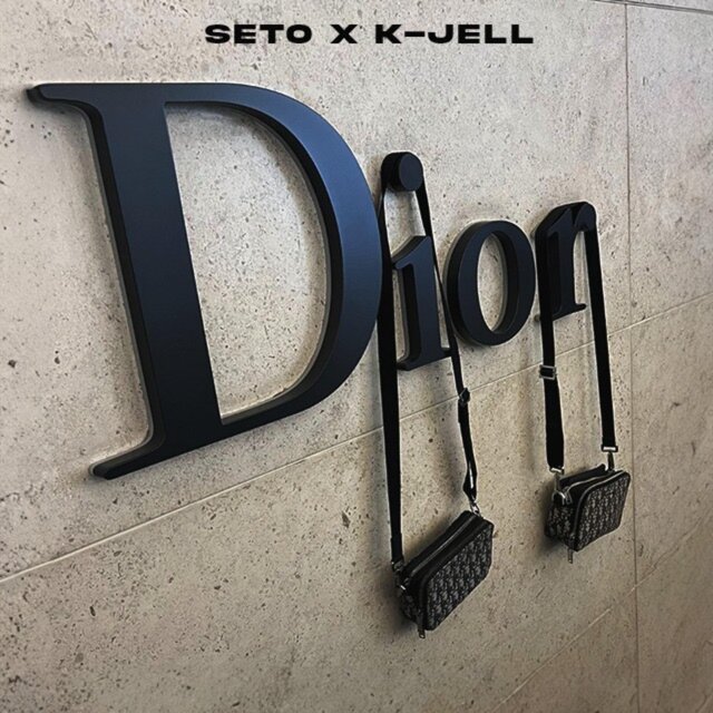 Dior Bag