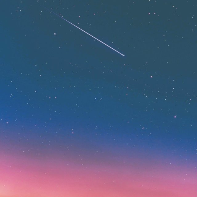 Wander.