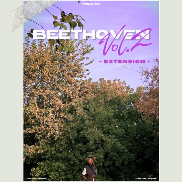 BEETHOVEN, Vol. 2 (EXTENSION)