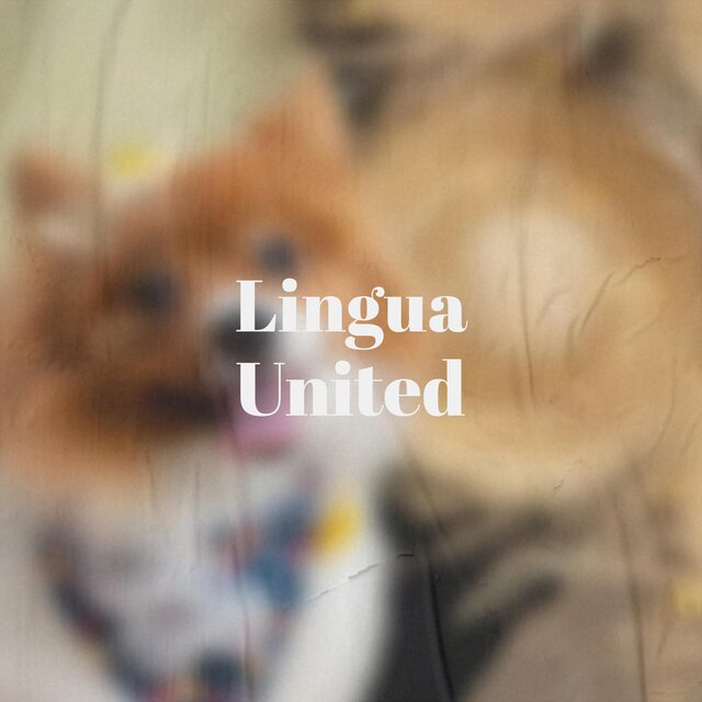 Lingua United