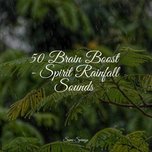 50 Brain Boost - Spirit Rainfall Sounds