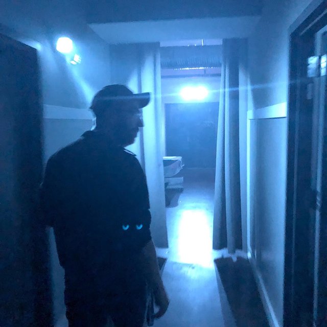 The Show