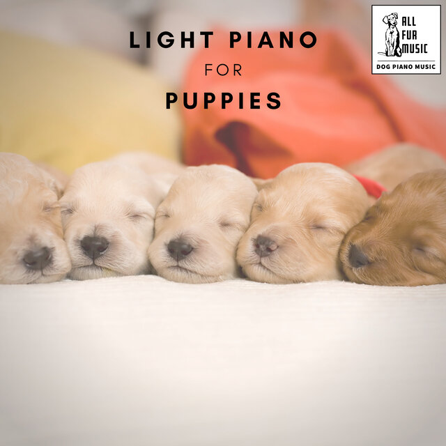 Light Piano for Puppies