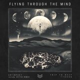 Flying Through The Soul (Veytik Remix)