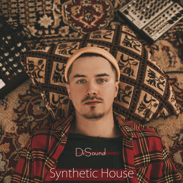 Synthetic House