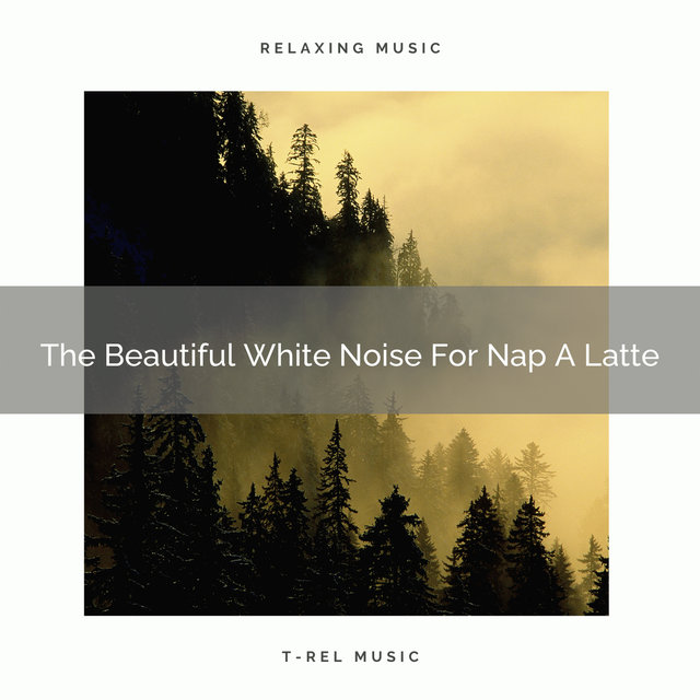 The Beautiful White Noise For Nap A Latte