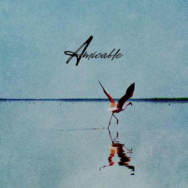 Amicable