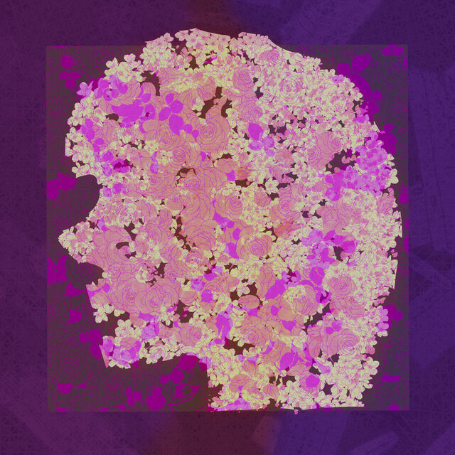 Conceirella