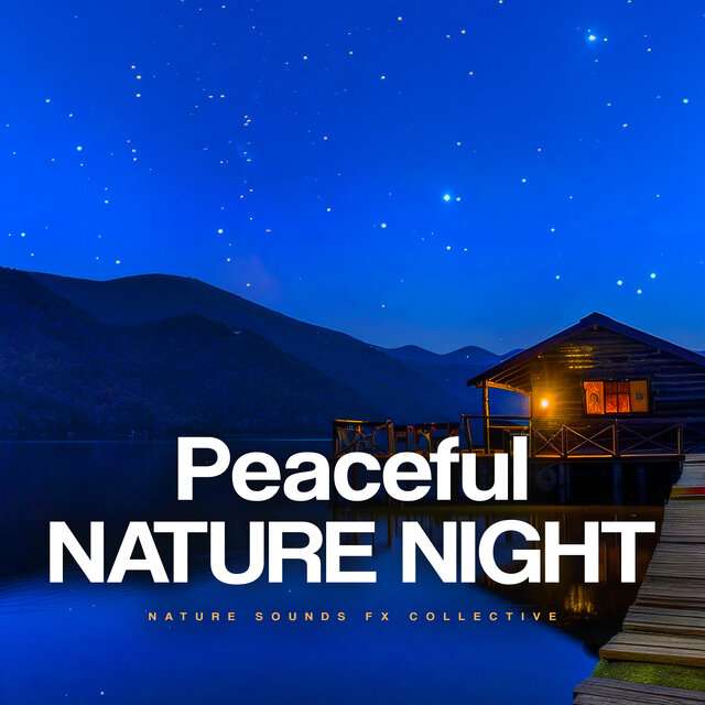 Peaceful Nature Night