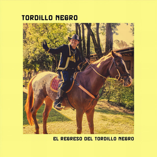 El Regreso Del Tordillo Negro