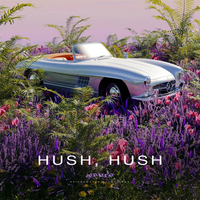 HUSH, HUSH