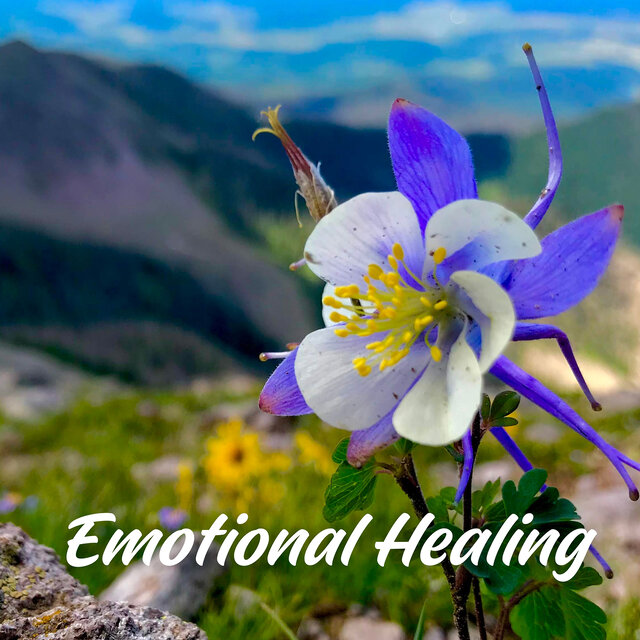 Emotional Healing