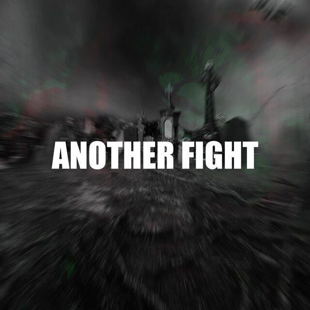 ANOTHER FIGHT