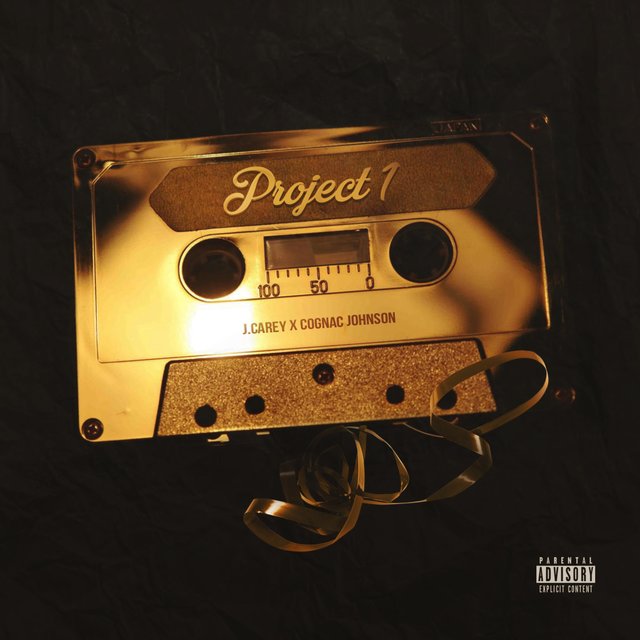 Project 1