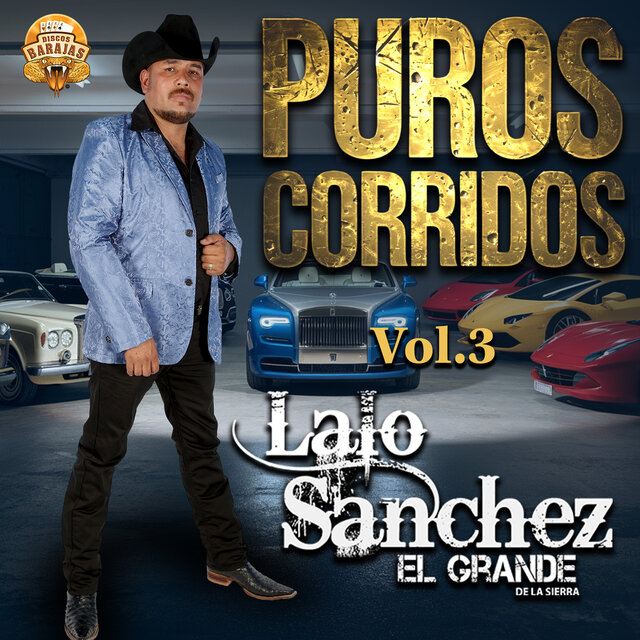 Puros Corridos Vol. 3
