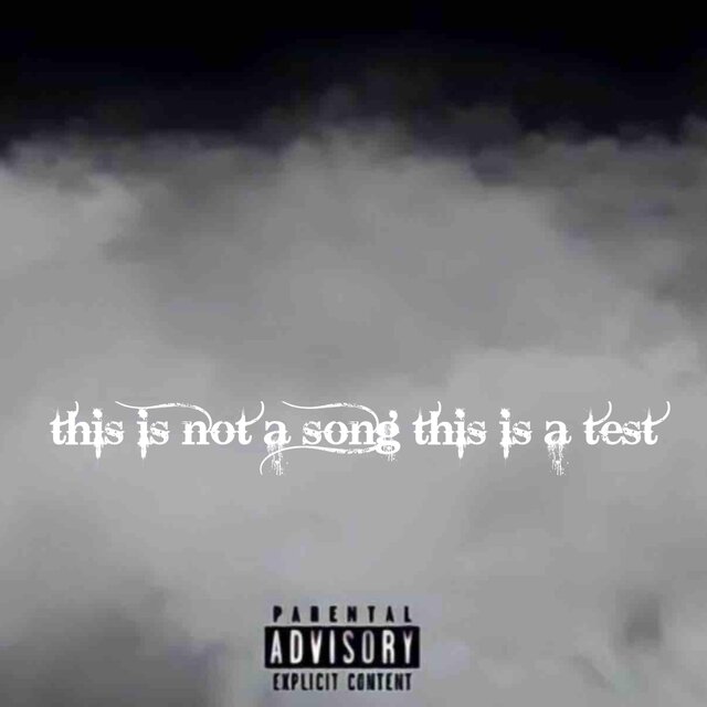This not A Song This A Test