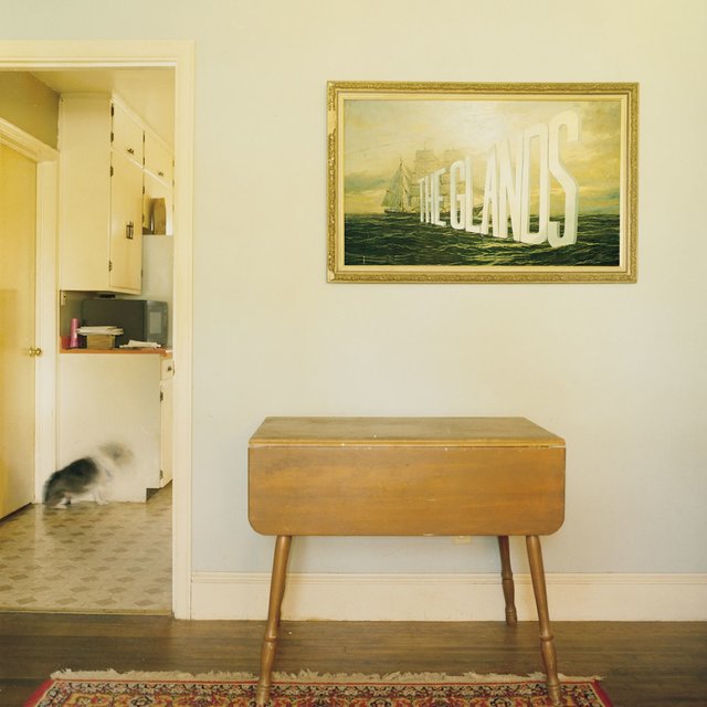 Cover art for album The Glands by The Glands