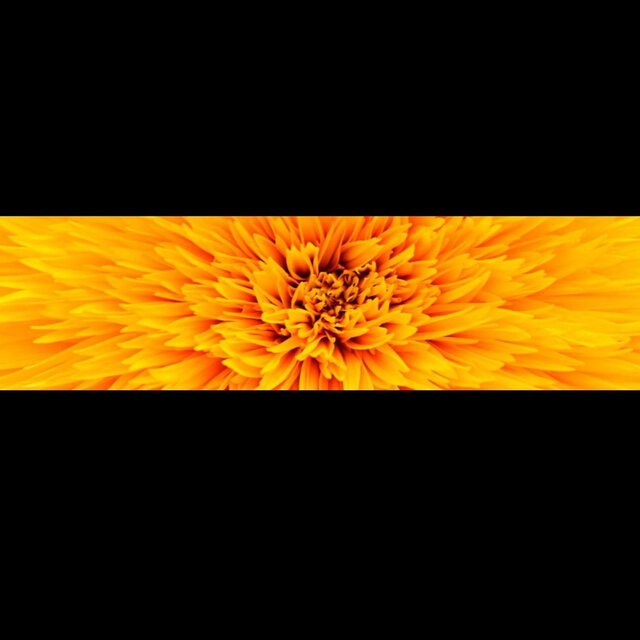 Music Mix Volumes: Summer Camps