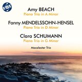 Piano Trio in A Minor, Op. 150: III. Allegro con brio