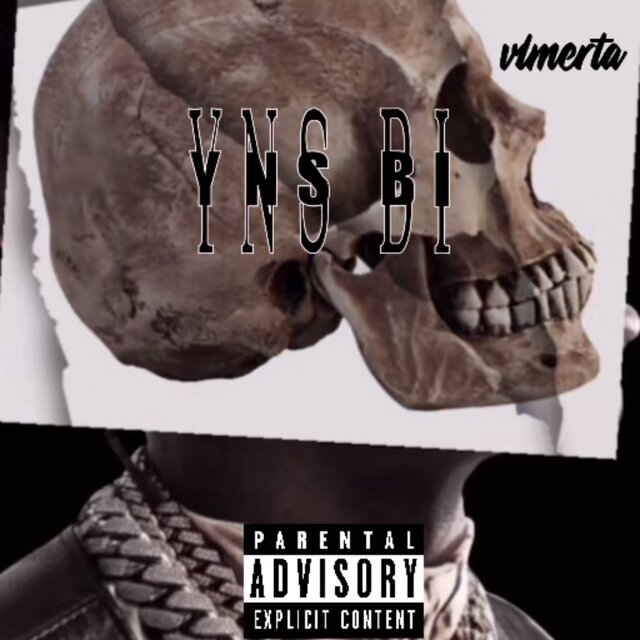 YNS Bi